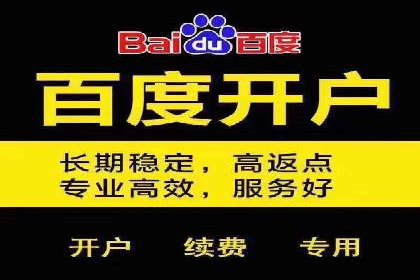 百度SEM代运营案例精选：精准营销效果显著